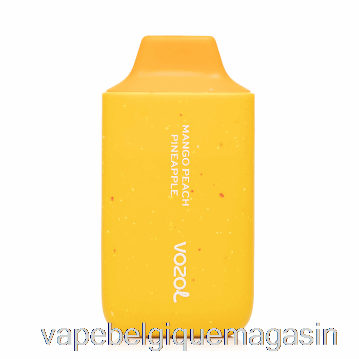 Vape Belgique Vozol Star 6000 Jetable Mangue Pêche Ananas